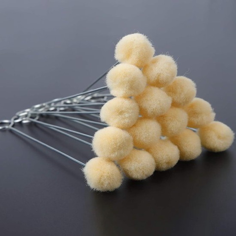 Brosse de nettoyage